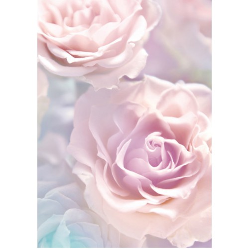 Фотообои 2 м "Розовые розы" 21-0146-FR 
